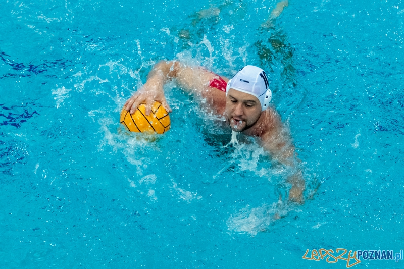 DSW Waterpolo Poznań - Arkonia Szczecin 14:13 - Poznań 12.01.2014 r. Foto: LepszyPOZNAN.pl / Paweł Rychter DSW Waterpolo Poznań - Arkonia Szczecin 14:13 - Poznań 12.01.2014 r. Foto: LepszyPOZNAN.pl / Paweł Rychter