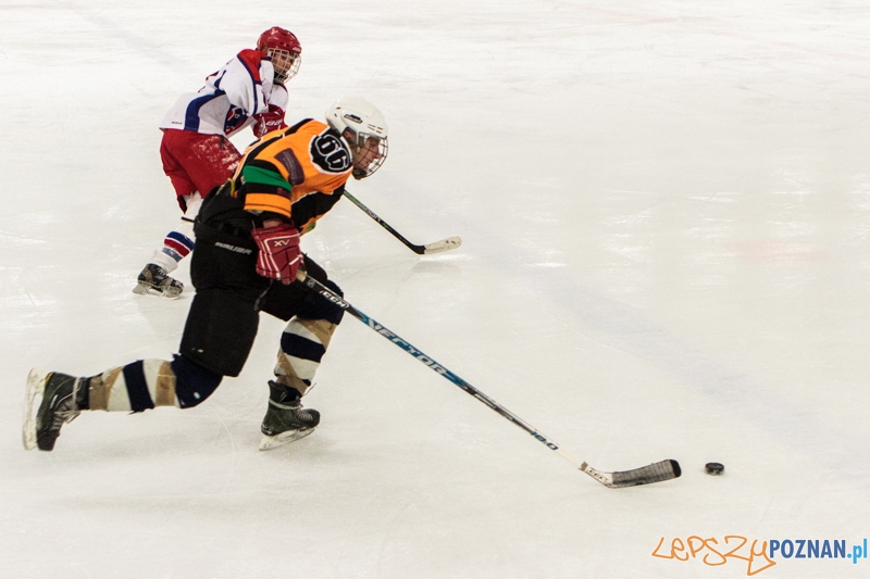 PTH Poznań - Żółwie Piła 4:6 - Poznań 25.01.2014 r. Foto: LepszyPOZNAN.pl / Paweł Rychter PTH Poznań - Żółwie Piła 4:6 - Poznań 25.01.2014 r. Foto: LepszyPOZNAN.pl / Paweł Rychter