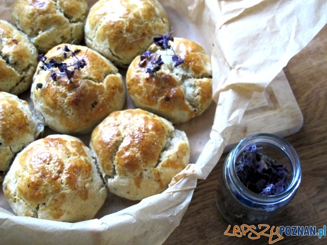 Babeczki z fetą Foto: chilifiga.pl Babeczki z fetą Foto: chilifiga.pl