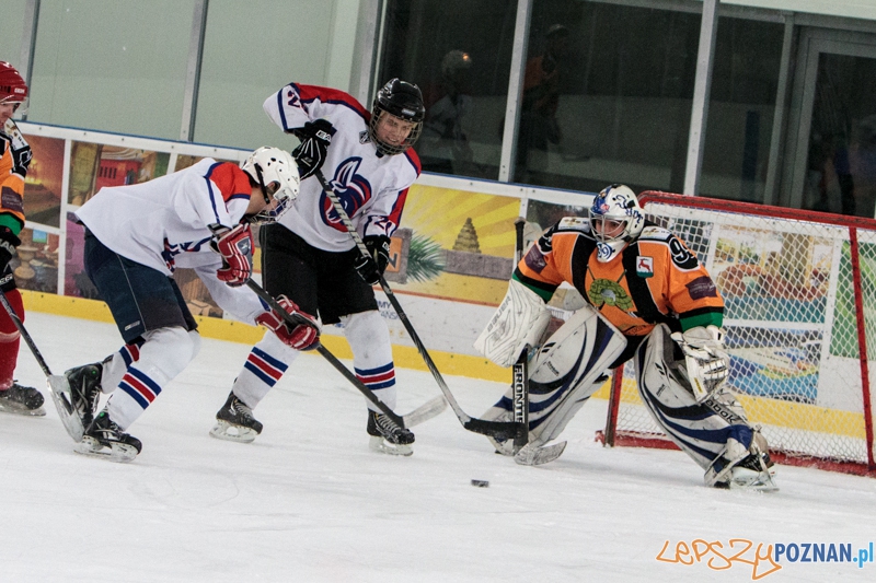 PTH Poznań - Żółwie Piła 4:6 - Poznań 25.01.2014 r. Foto: LepszyPOZNAN.pl / Paweł Rychter PTH Poznań - Żółwie Piła 4:6 - Poznań 25.01.2014 r. Foto: LepszyPOZNAN.pl / Paweł Rychter