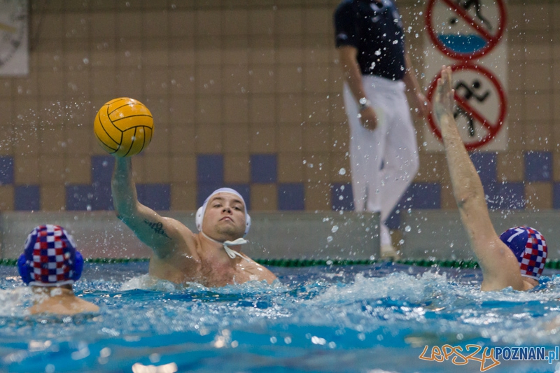DSW Waterpolo Poznań - Arkonia Szczecin Foto: lepszyPOZNAN.pl / Piotr Rychter DSW Waterpolo Poznań - Arkonia Szczecin Foto: lepszyPOZNAN.pl / Piotr Rychter