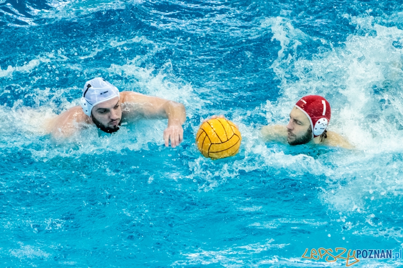 DSW Waterpolo Poznań - Arkonia Szczecin 14:13 - Poznań 12.01.2014 r. Foto: LepszyPOZNAN.pl / Paweł Rychter DSW Waterpolo Poznań - Arkonia Szczecin 14:13 - Poznań 12.01.2014 r. Foto: LepszyPOZNAN.pl / Paweł Rychter