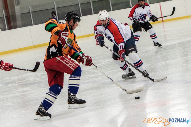 PTH Poznań - Żółwie Piła 4:6 - Poznań 25.01.2014 r. Foto: LepszyPOZNAN.pl / Paweł Rychter PTH Poznań - Żółwie Piła 4:6 - Poznań 25.01.2014 r. Foto: LepszyPOZNAN.pl / Paweł Rychter