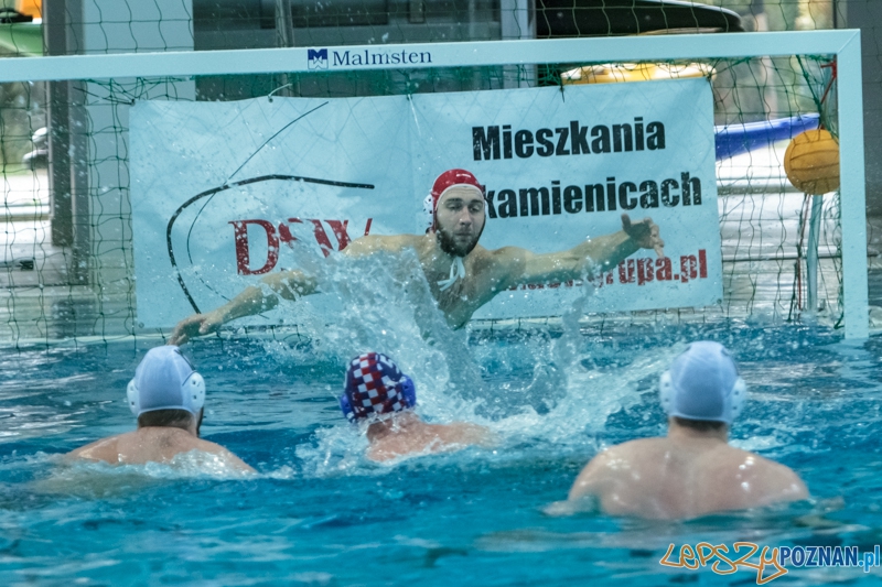 DSW Waterpolo Poznań - Arkonia Szczecin 14:13 - Poznań 12.01.2014 r. Foto: LepszyPOZNAN.pl / Paweł Rychter DSW Waterpolo Poznań - Arkonia Szczecin 14:13 - Poznań 12.01.2014 r. Foto: LepszyPOZNAN.pl / Paweł Rychter
