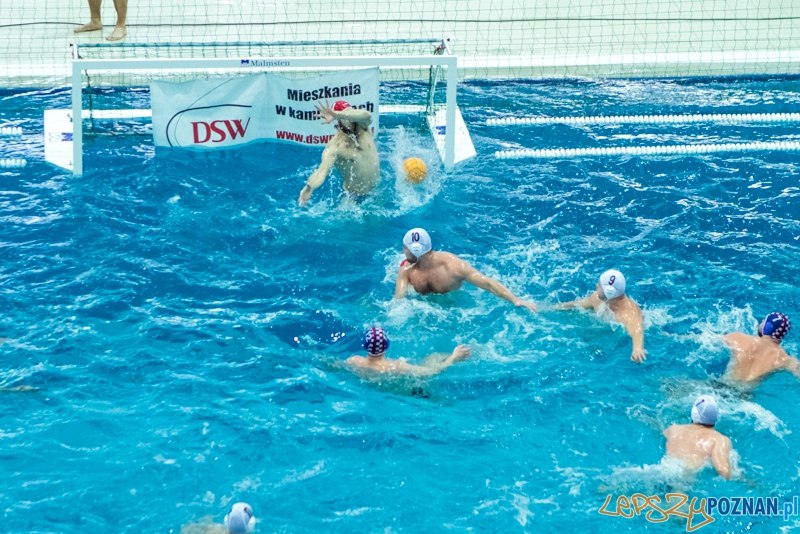 DSW Waterpolo Poznań - Arkonia Szczecin 14:13 - Poznań 12.01.2014 r. Foto: LepszyPOZNAN.pl / Paweł Rychter DSW Waterpolo Poznań - Arkonia Szczecin 14:13 - Poznań 12.01.2014 r. Foto: LepszyPOZNAN.pl / Paweł Rychter