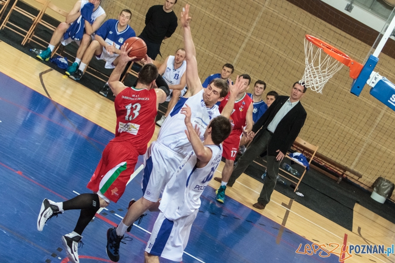 AZS Politechnika Big Plus Poznań - MKS Dąbrowa Górnicza 74:88 - Poznań 18.01.2014 r. Foto: LepszyPOZNAN.pl / Paweł Rychter AZS Politechnika Big Plus Poznań - MKS Dąbrowa Górnicza 74:88 - Poznań 18.01.2014 r. Foto: LepszyPOZNAN.pl / Paweł Rychter
