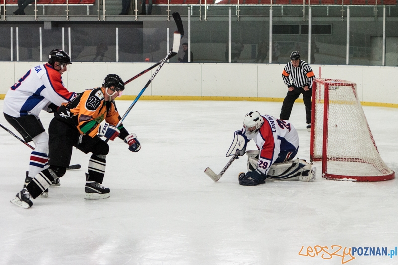 PTH Poznań - Żółwie Piła 4:6 - Poznań 25.01.2014 r. Foto: LepszyPOZNAN.pl / Paweł Rychter PTH Poznań - Żółwie Piła 4:6 - Poznań 25.01.2014 r. Foto: LepszyPOZNAN.pl / Paweł Rychter