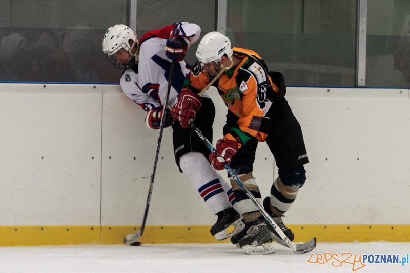 PTH Poznań - Żółwie Piła 4:6 - Poznań 25.01.2014 r. Foto: LepszyPOZNAN.pl / Paweł Rychter PTH Poznań - Żółwie Piła 4:6 - Poznań 25.01.2014 r. Foto: LepszyPOZNAN.pl / Paweł Rychter