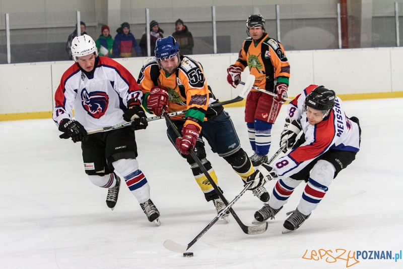PTH Poznań - Żółwie Piła 4:6 - Poznań 25.01.2014 r. Foto: LepszyPOZNAN.pl / Paweł Rychter PTH Poznań - Żółwie Piła 4:6 - Poznań 25.01.2014 r. Foto: LepszyPOZNAN.pl / Paweł Rychter