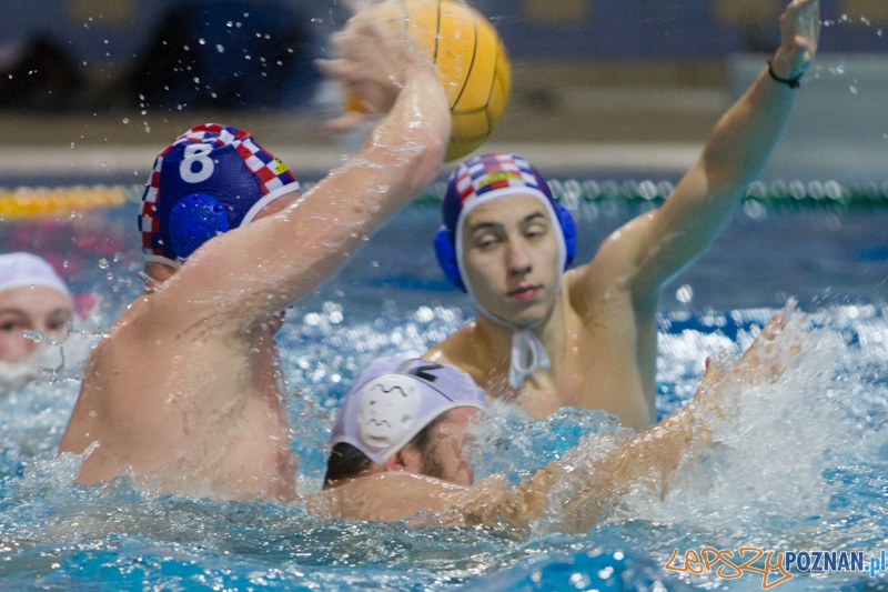 DSW Waterpolo Poznań - Arkonia Szczecin Foto: lepszyPOZNAN.pl / Piotr Rychter DSW Waterpolo Poznań - Arkonia Szczecin Foto: lepszyPOZNAN.pl / Piotr Rychter