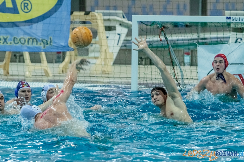 DSW Waterpolo Poznań - Arkonia Szczecin 14:13 - Poznań 12.01.2014 r. Foto: LepszyPOZNAN.pl / Paweł Rychter DSW Waterpolo Poznań - Arkonia Szczecin 14:13 - Poznań 12.01.2014 r. Foto: LepszyPOZNAN.pl / Paweł Rychter