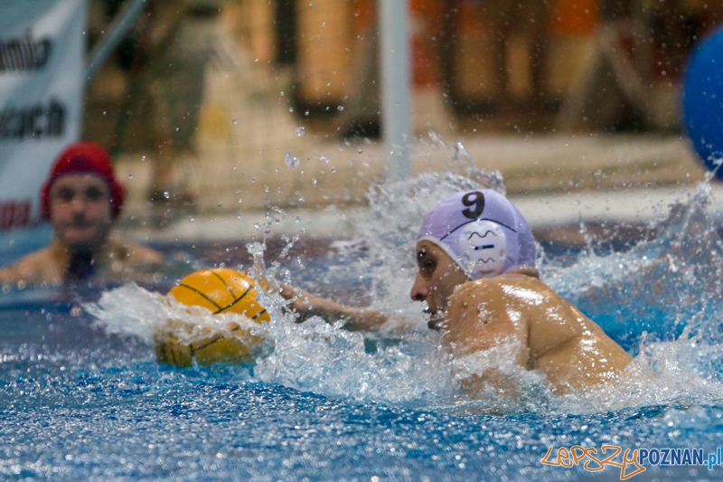DSW Waterpolo Poznań - Arkonia Szczecin (Piotr Cichy) Foto: lepszyPOZNAN.pl / Piotr Rychter DSW Waterpolo Poznań - Arkonia Szczecin (Piotr Cichy) Foto: lepszyPOZNAN.pl / Piotr Rychter
