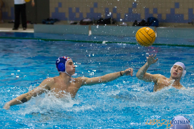 DSW Waterpolo Poznań - Arkonia Szczecin Foto: lepszyPOZNAN.pl / Piotr Rychter DSW Waterpolo Poznań - Arkonia Szczecin Foto: lepszyPOZNAN.pl / Piotr Rychter