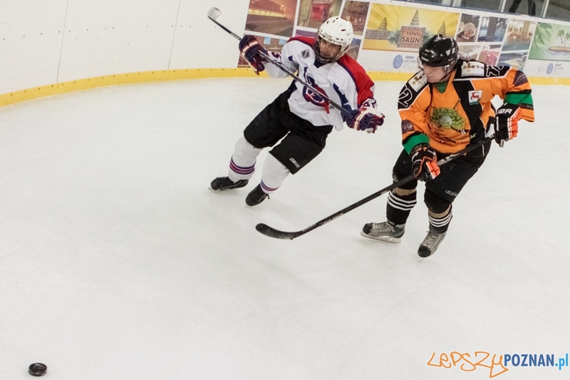 PTH Poznań - Żółwie Piła 4:6 - Poznań 25.01.2014 r. Foto: LepszyPOZNAN.pl / Paweł Rychter PTH Poznań - Żółwie Piła 4:6 - Poznań 25.01.2014 r. Foto: LepszyPOZNAN.pl / Paweł Rychter