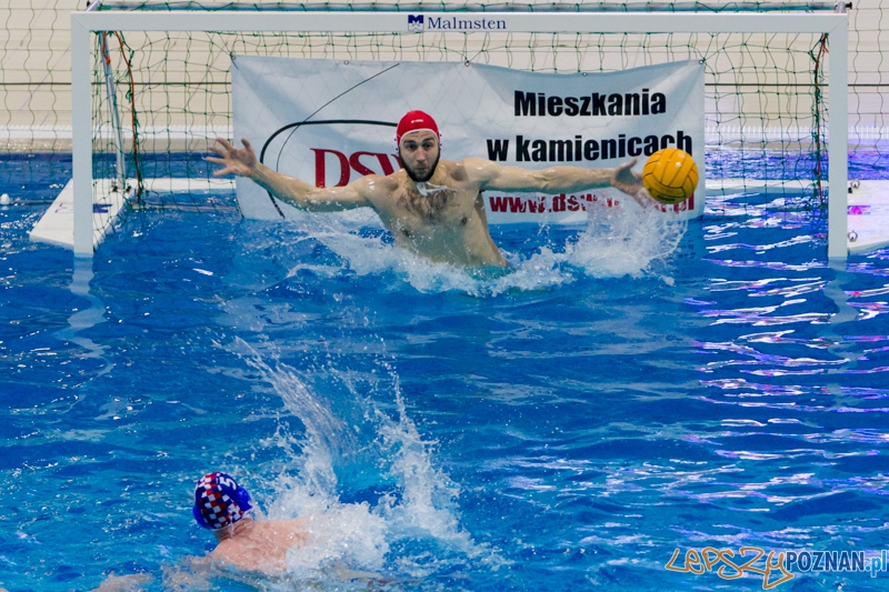 DSW Waterpolo Poznań - Arkonia Szczecin Foto: lepszyPOZNAN.pl / Piotr Rychter DSW Waterpolo Poznań - Arkonia Szczecin Foto: lepszyPOZNAN.pl / Piotr Rychter