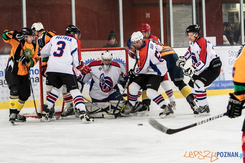 PTH Poznań - Żółwie Piła 4:6 - Poznań 25.01.2014 r. Foto: LepszyPOZNAN.pl / Paweł Rychter PTH Poznań - Żółwie Piła 4:6 - Poznań 25.01.2014 r. Foto: LepszyPOZNAN.pl / Paweł Rychter