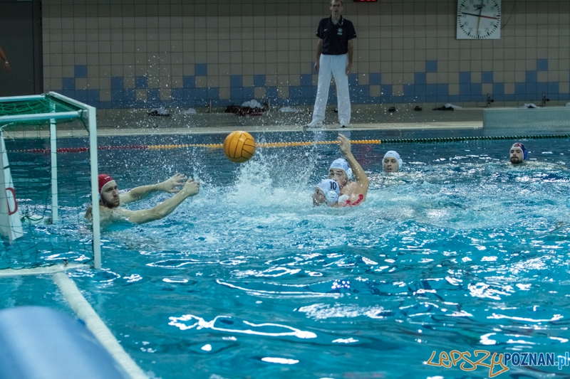 DSW Waterpolo Poznań - Arkonia Szczecin 14:13 - Poznań 12.01.2014 r. Foto: LepszyPOZNAN.pl / Paweł Rychter DSW Waterpolo Poznań - Arkonia Szczecin 14:13 - Poznań 12.01.2014 r. Foto: LepszyPOZNAN.pl / Paweł Rychter