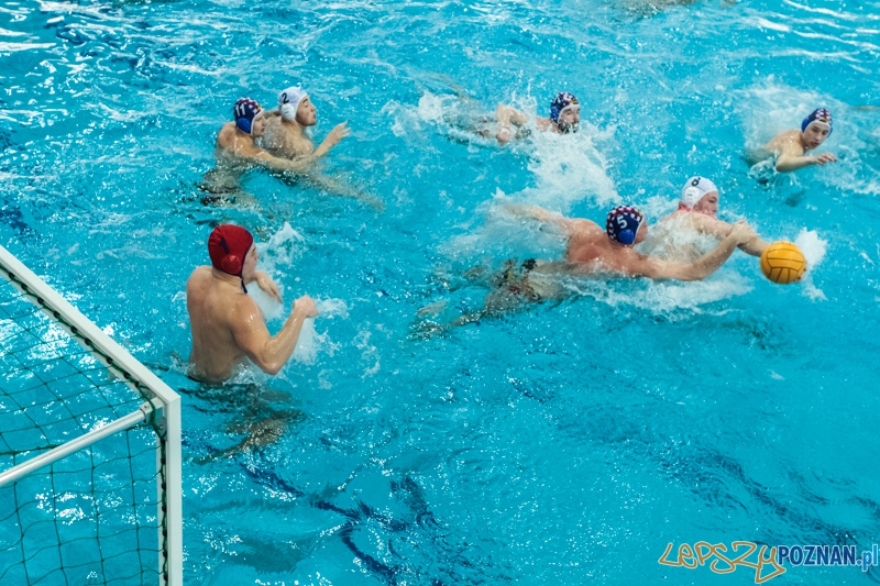 DSW Waterpolo Poznań - Arkonia Szczecin 14:13 - Poznań 12.01.2014 r. Foto: LepszyPOZNAN.pl / Paweł Rychter DSW Waterpolo Poznań - Arkonia Szczecin 14:13 - Poznań 12.01.2014 r. Foto: LepszyPOZNAN.pl / Paweł Rychter