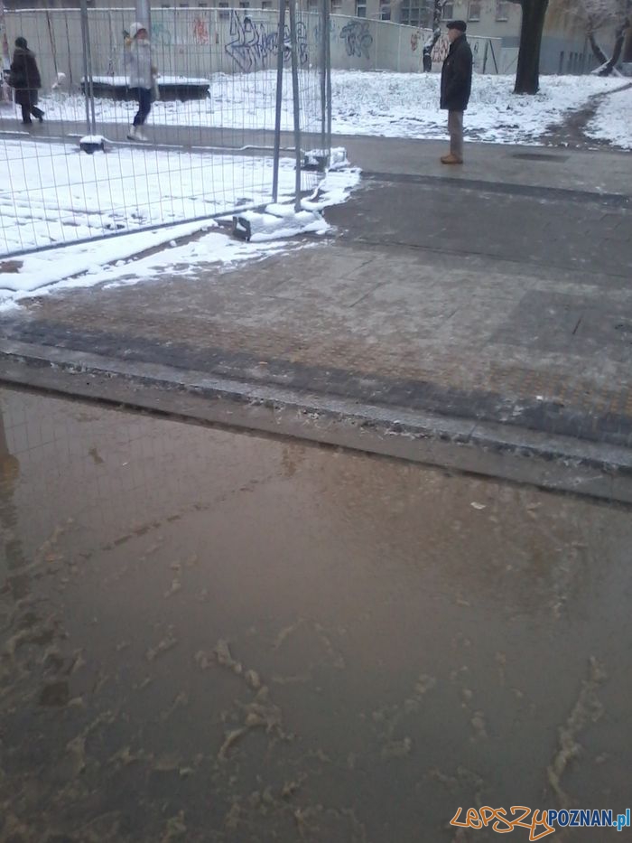 Wielka Kaluza na Rosevelta Foto: Paweł Sztando Wielka Kaluza na Rosevelta Foto: Paweł Sztando