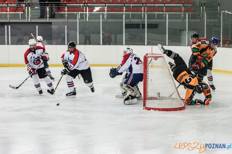 PTH Poznań - Żółwie Piła 4:6 - Poznań 25.01.2014 r. Foto: LepszyPOZNAN.pl / Paweł Rychter PTH Poznań - Żółwie Piła 4:6 - Poznań 25.01.2014 r. Foto: LepszyPOZNAN.pl / Paweł Rychter