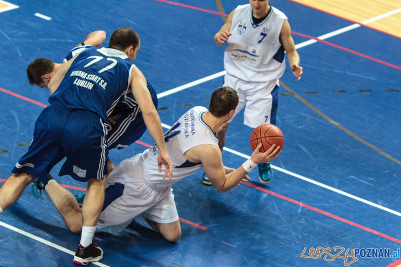 AZS Politechnika Big Plus Poznań – MKS Wikana Start S.A. Lublin 75:87 - Poznań 08.02.2014 r. Foto: LepszyPOZNAN.pl / Paweł Rychter AZS Politechnika Big Plus Poznań – MKS Wikana Start S.A. Lublin 75:87 - Poznań 08.02.2014 r. Foto: LepszyPOZNAN.pl / Paweł Rychter