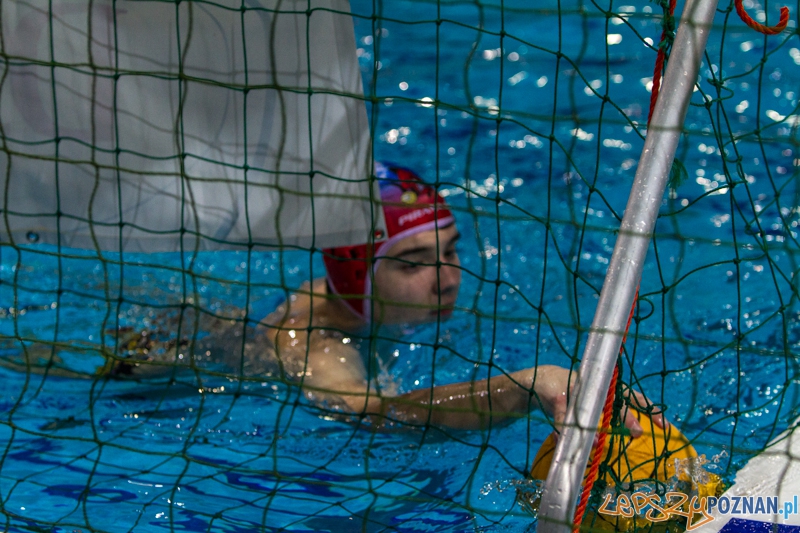 DSW Waterpolo Poznań - Pirana SC Topolčany 15:6 - Poznań 02.03.2014 r. Foto: LepszyPOZNAN.pl / Paweł Rychter DSW Waterpolo Poznań - Pirana SC Topolčany 15:6 - Poznań 02.03.2014 r. Foto: LepszyPOZNAN.pl / Paweł Rychter