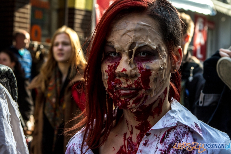 Fantastyczny Korowód na Festiwal Pyrkon 2014 - Poznań 01.03.2014 r. Foto: LepszyPOZNAN.pl / Paweł Rychter Fantastyczny Korowód na Festiwal Pyrkon 2014 - Poznań 01.03.2014 r. Foto: LepszyPOZNAN.pl / Paweł Rychter