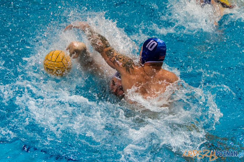 DSW Waterpolo Poznań - Pirana SC Topolčany 15:6 - Poznań 02.03.2014 r. Foto: LepszyPOZNAN.pl / Paweł Rychter DSW Waterpolo Poznań - Pirana SC Topolčany 15:6 - Poznań 02.03.2014 r. Foto: LepszyPOZNAN.pl / Paweł Rychter