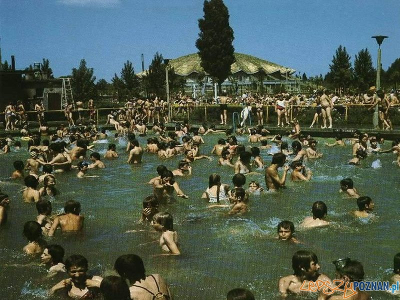 Pływalnia Olimpi - park Kasprowicza Foto: Pływalnia Olimpi - park Kasprowicza Foto: