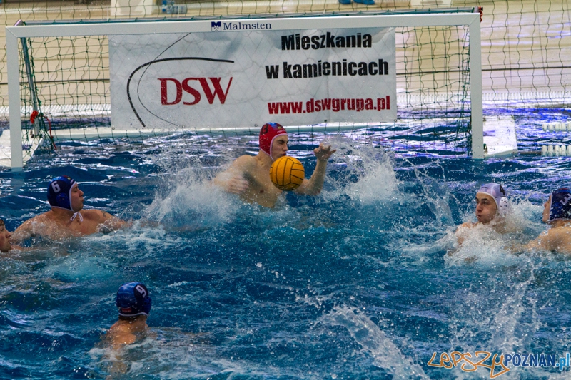 DSW Waterpolo Poznań - Pirana SC Topolčany 15:6 - Poznań 02.03.2014 r. Foto: LepszyPOZNAN.pl / Paweł Rychter DSW Waterpolo Poznań - Pirana SC Topolčany 15:6 - Poznań 02.03.2014 r. Foto: LepszyPOZNAN.pl / Paweł Rychter