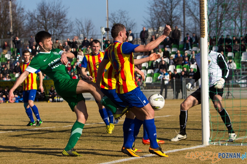 Warta Poznań - Jarocin Jarota Foto: lepszyPOZNAN.pl / Piotr Rychter Warta Poznań - Jarocin Jarota Foto: lepszyPOZNAN.pl / Piotr Rychter