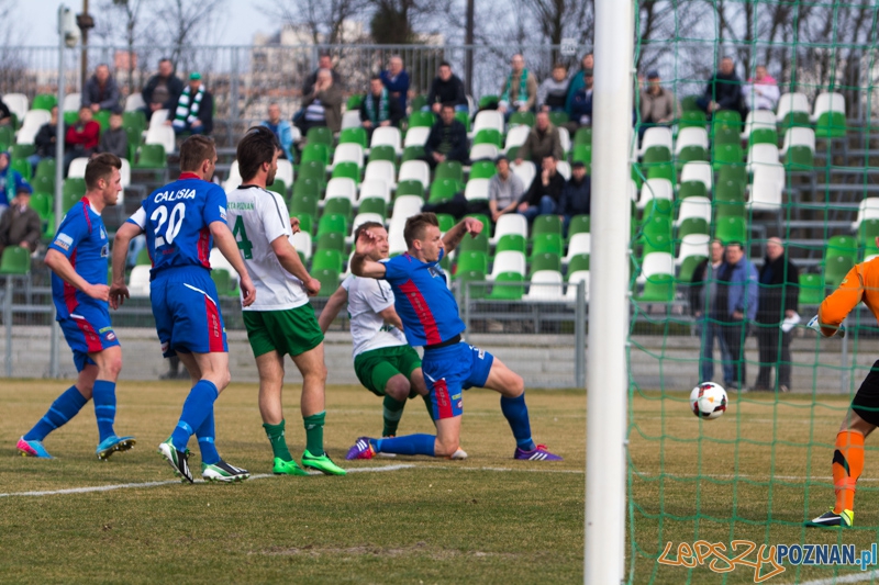Warta Poznań - Calisia Kalisz Foto: lepszyPOZNAN.pl / Piotr Rychter Warta Poznań - Calisia Kalisz Foto: lepszyPOZNAN.pl / Piotr Rychter