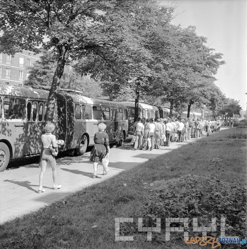 Parking dla autobusów przy Parku Kasprowicza 1975 Foto: Parking dla autobusów przy Parku Kasprowicza 1975 Foto: