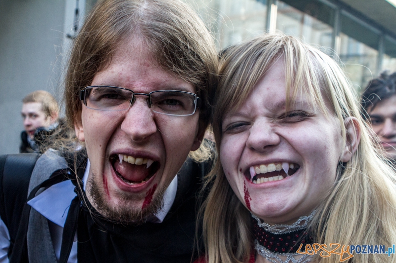 Fantastyczny Korowód na Festiwal Pyrkon 2014 - Poznań 01.03.2014 r. Foto: LepszyPOZNAN.pl / Paweł Rychter Fantastyczny Korowód na Festiwal Pyrkon 2014 - Poznań 01.03.2014 r. Foto: LepszyPOZNAN.pl / Paweł Rychter