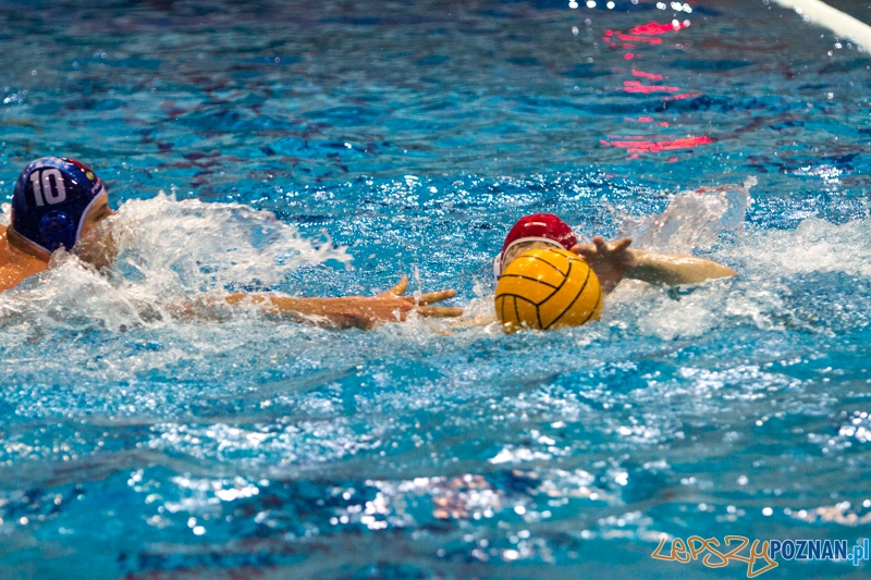 DSW Waterpolo Poznań - Pirana SC Topolčany 15:6 - Poznań 02.03.2014 r. Foto: LepszyPOZNAN.pl / Paweł Rychter DSW Waterpolo Poznań - Pirana SC Topolčany 15:6 - Poznań 02.03.2014 r. Foto: LepszyPOZNAN.pl / Paweł Rychter