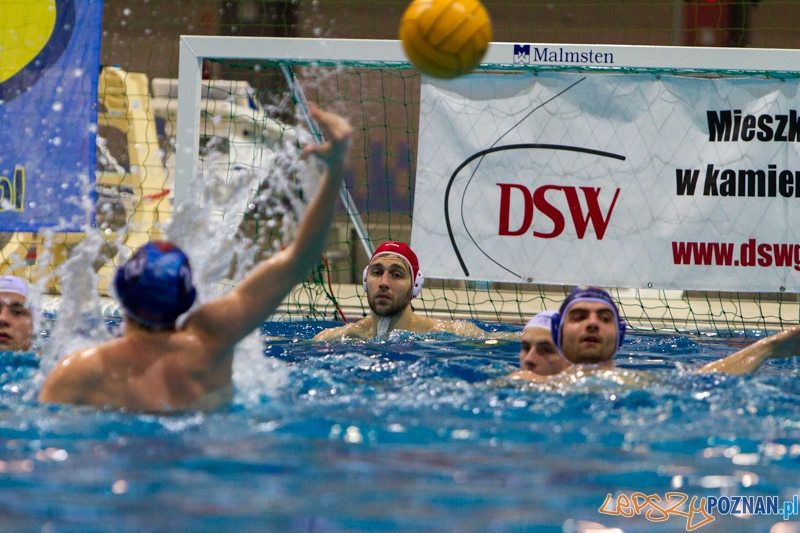 DSW Waterpolo Poznań - Pirana SC Topolčany 15:6 - Poznań 02.03.2014 r. Foto: LepszyPOZNAN.pl / Paweł Rychter DSW Waterpolo Poznań - Pirana SC Topolčany 15:6 - Poznań 02.03.2014 r. Foto: LepszyPOZNAN.pl / Paweł Rychter