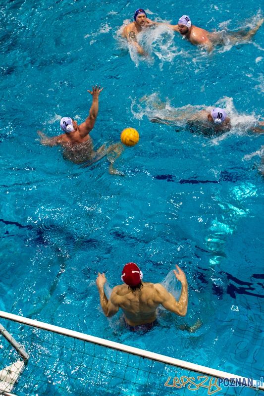 DSW Waterpolo Poznań - Pirana SC Topolčany 15:6 - Poznań 02.03.2014 r. Foto: LepszyPOZNAN.pl / Paweł Rychter DSW Waterpolo Poznań - Pirana SC Topolčany 15:6 - Poznań 02.03.2014 r. Foto: LepszyPOZNAN.pl / Paweł Rychter