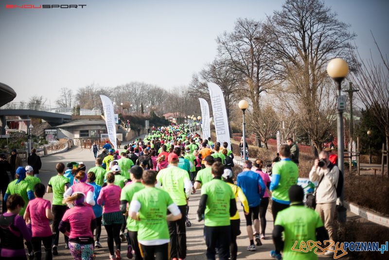 Wystartował Winter Run Foto: W.Pawłowski Wystartował Winter Run Foto: W.Pawłowski