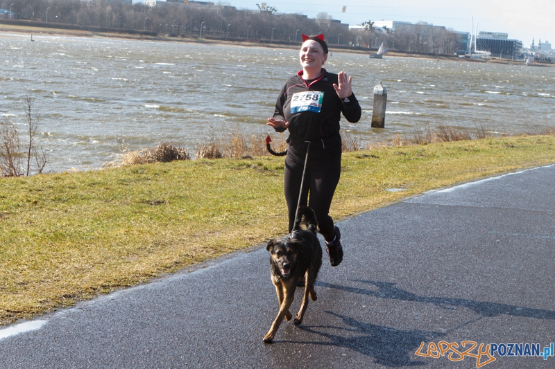 X Maniacka Dziesiątka - Poznań 15.03.2014 r. Foto: LepszyPOZNAN.pl / Paweł Rychter X Maniacka Dziesiątka - Poznań 15.03.2014 r. Foto: LepszyPOZNAN.pl / Paweł Rychter