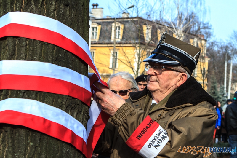 Dzień Pamięci Żołnierzy Wyklętych - Poznań 01.03.2014 r. Foto: LepszyPOZNAN.pl / Paweł Rychter Dzień Pamięci Żołnierzy Wyklętych - Poznań 01.03.2014 r. Foto: LepszyPOZNAN.pl / Paweł Rychter