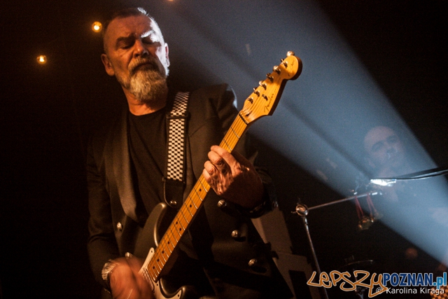 Wojciech Waglewski (7.03.2014) Eskulap, foto: LepszyPOZNAN.pl / Foto: © Karolina Kiraga Wojciech Waglewski (7.03.2014) Eskulap, foto: LepszyPOZNAN.pl / Foto: © Karolina Kiraga