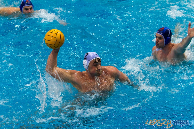 DSW Waterpolo Poznań - Pirana SC Topolčany 15:6 - Poznań 02.03.2014 r. Foto: LepszyPOZNAN.pl / Paweł Rychter DSW Waterpolo Poznań - Pirana SC Topolčany 15:6 - Poznań 02.03.2014 r. Foto: LepszyPOZNAN.pl / Paweł Rychter