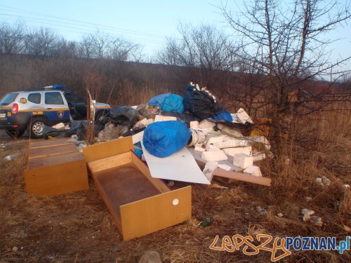 Wysypisko na ulicy Karpiej Foto: Straż Miejska Wysypisko na ulicy Karpiej Foto: Straż Miejska