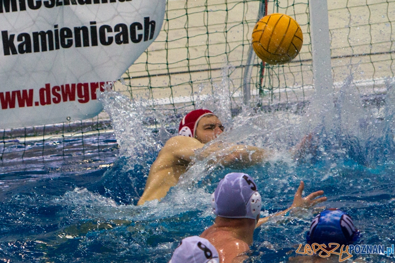 DSW Waterpolo Poznań - Pirana SC Topolčany 15:6 - Poznań 02.03.2014 r. Foto: LepszyPOZNAN.pl / Paweł Rychter DSW Waterpolo Poznań - Pirana SC Topolčany 15:6 - Poznań 02.03.2014 r. Foto: LepszyPOZNAN.pl / Paweł Rychter