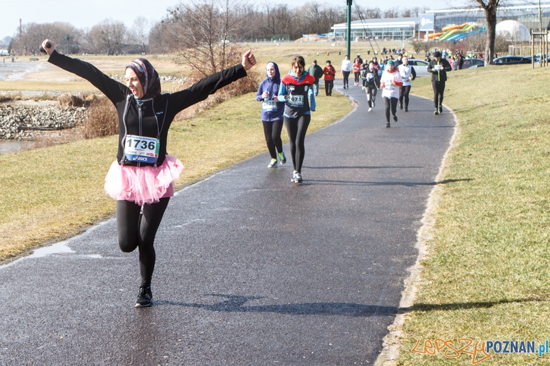 X Maniacka Dziesiątka - Poznań 15.03.2014 r. Foto: LepszyPOZNAN.pl / Paweł Rychter X Maniacka Dziesiątka - Poznań 15.03.2014 r. Foto: LepszyPOZNAN.pl / Paweł Rychter