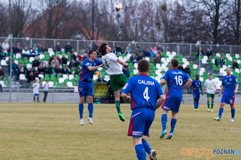 Warta Poznań - Calisia Kalisz Foto: lepszyPOZNAN.pl / Piotr Rychter Warta Poznań - Calisia Kalisz Foto: lepszyPOZNAN.pl / Piotr Rychter