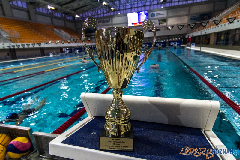 DSW Waterpolo Poznań - Pirana SC Topolčany 15:6 - Poznań 02.03.2014 r. Foto: LepszyPOZNAN.pl / Paweł Rychter DSW Waterpolo Poznań - Pirana SC Topolčany 15:6 - Poznań 02.03.2014 r. Foto: LepszyPOZNAN.pl / Paweł Rychter