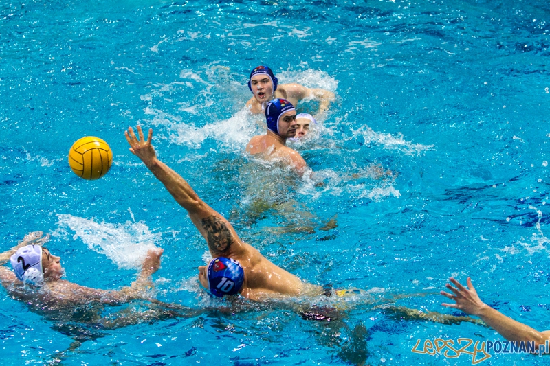 DSW Waterpolo Poznań - Pirana SC Topolčany 15:6 - Poznań 02.03.2014 r. Foto: LepszyPOZNAN.pl / Paweł Rychter DSW Waterpolo Poznań - Pirana SC Topolčany 15:6 - Poznań 02.03.2014 r. Foto: LepszyPOZNAN.pl / Paweł Rychter