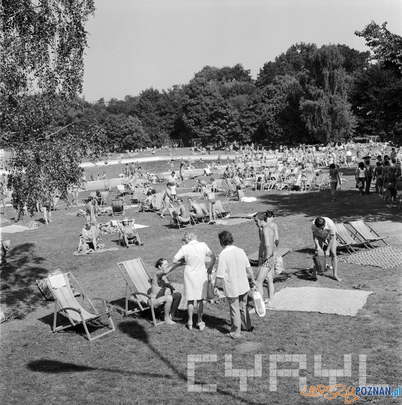 Leżakowanie w parku Kasprowicza 1975 Foto: cyryl Leżakowanie w parku Kasprowicza 1975 Foto: cyryl