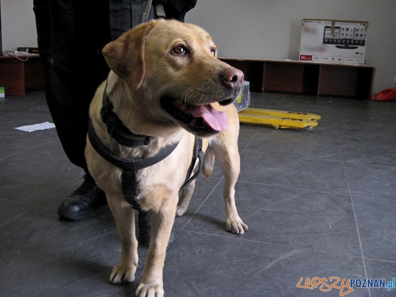 kejter Foto: materiały policji kejter Foto: materiały policji